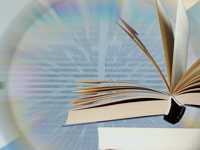 Plugin Mimarisi ve Marketplace